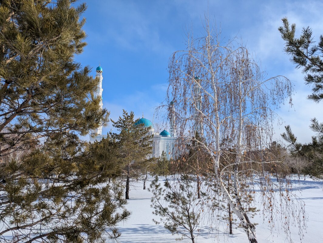 Зима в городе - Андрей Хлопонин