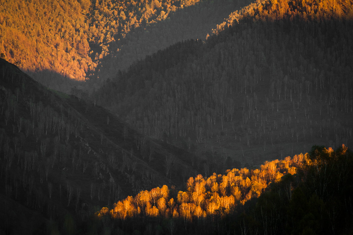*** - Алексей (АСкет) Степанов *** - Алексей (АСкет) Степанов