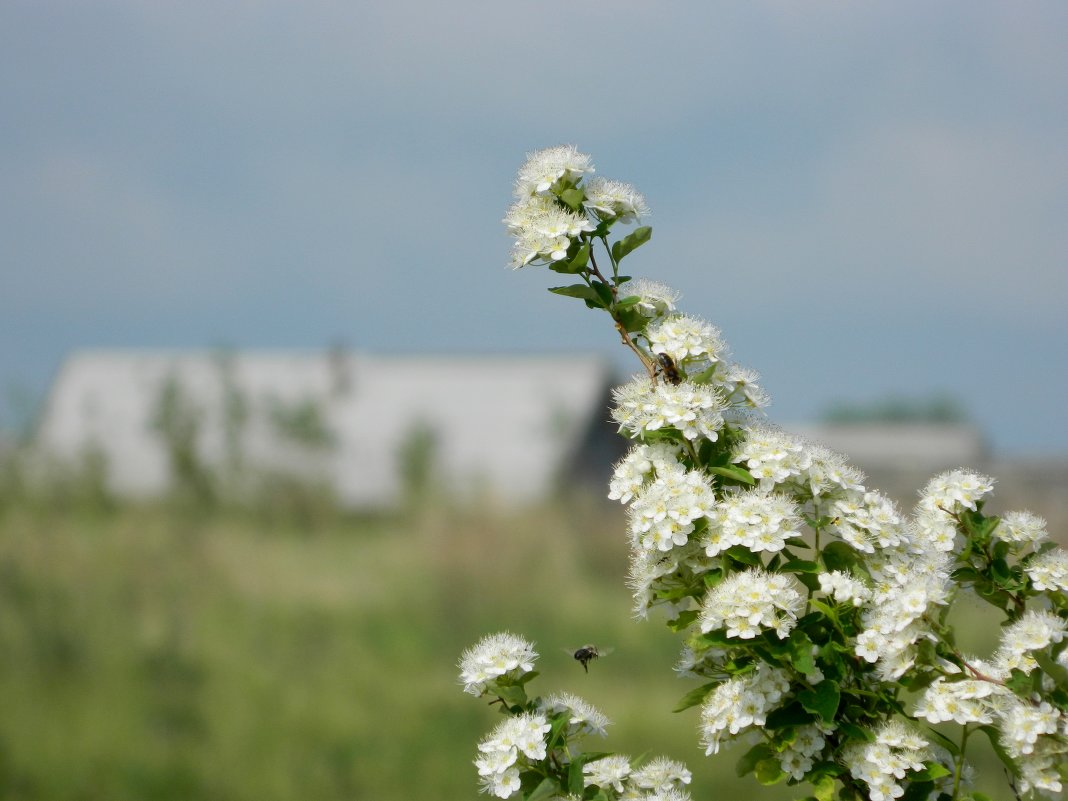 . - Лидия Мамаева