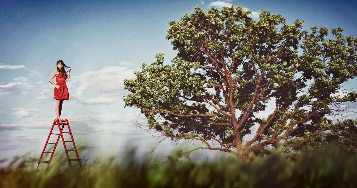 ... - Владислав Мелещенко