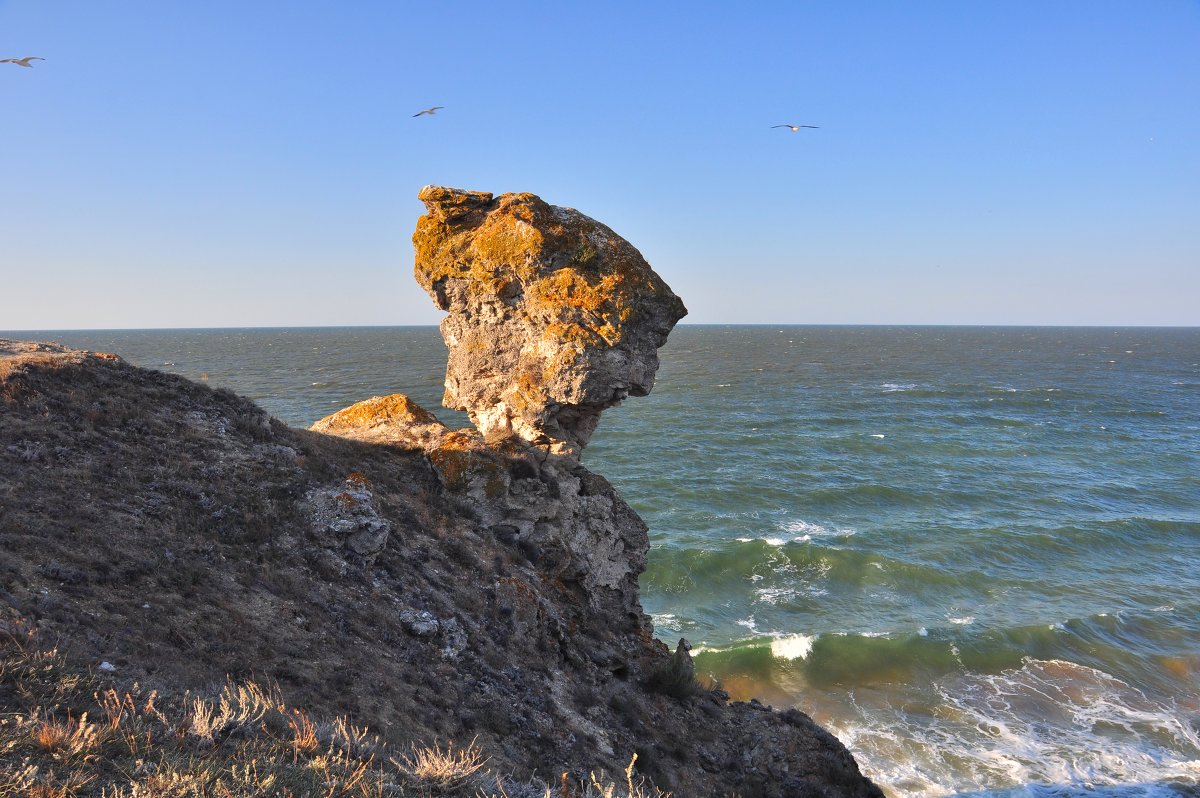 Страж Азовского моря. Ужас в камне - Летечко *