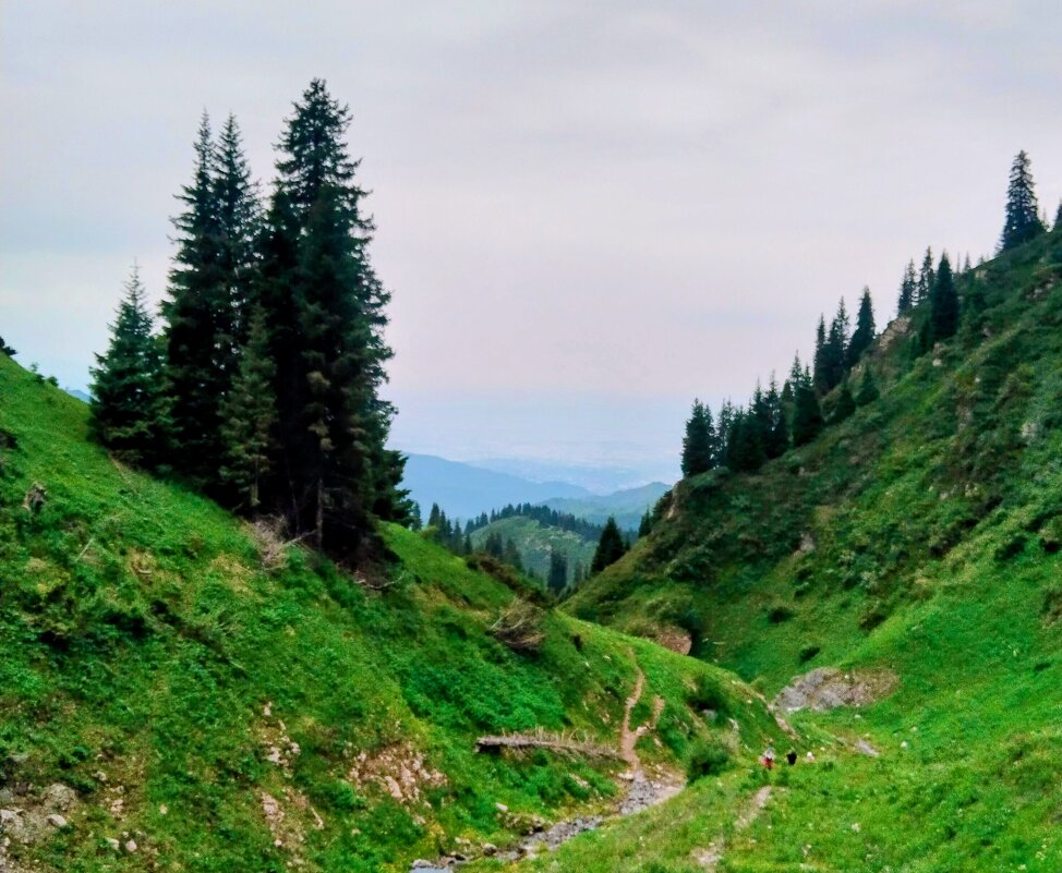 Июнь в горах - Георгиевич 