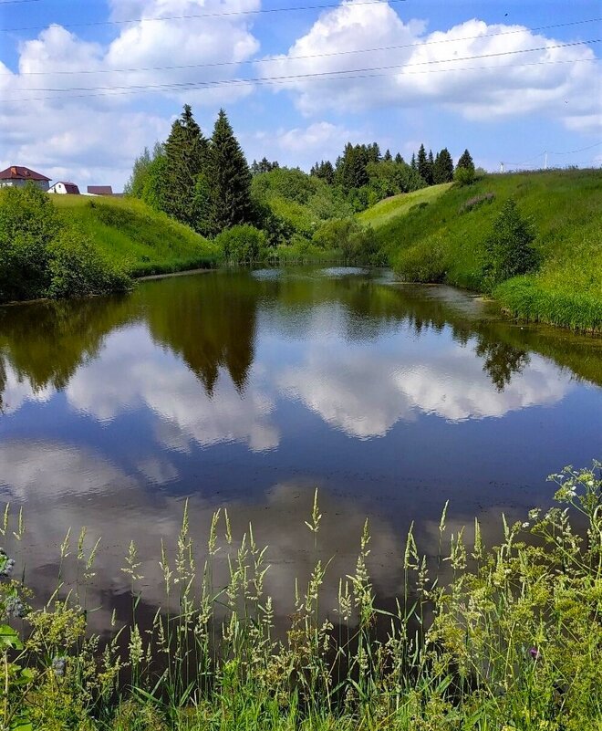 Летний день - Лариса С.
