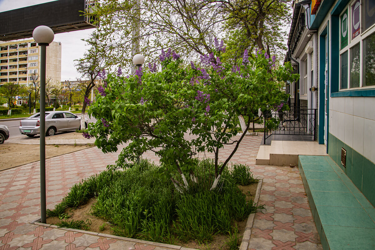 Фонари - Анатолий Чикчирный