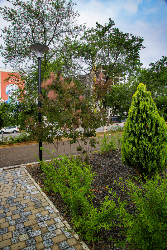 Фонарь - Анатолий Чикчирный