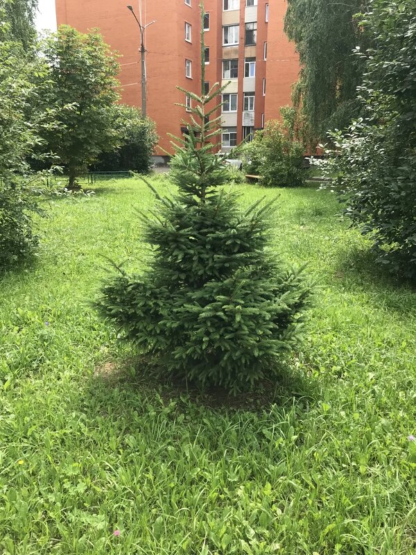 В с. Заворово - Елена Семигина