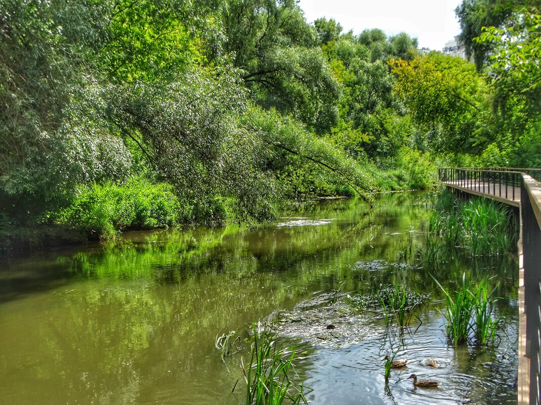 В парке - svk *