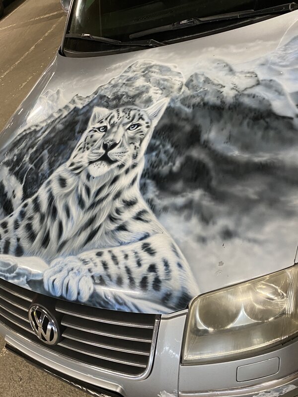 Авто,горы, снежный барс - Savayr 
