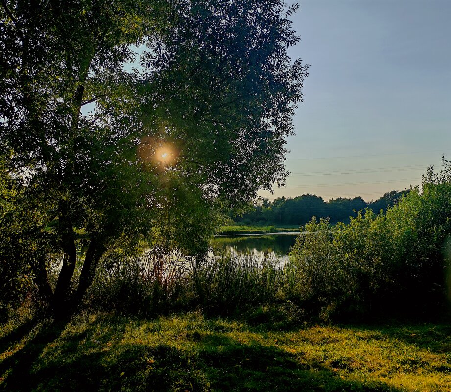 Лето в городе - АЛЕКСАНДР 