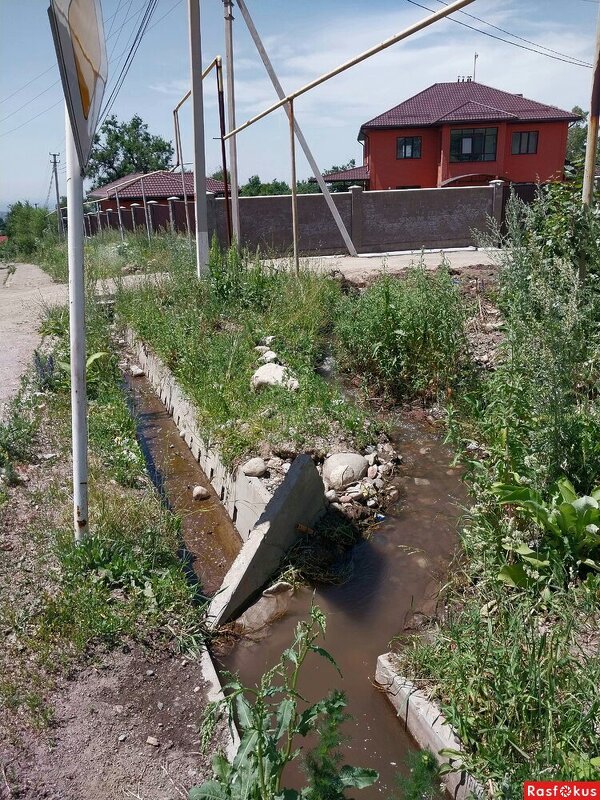 Береке. - Murat Bukaev 