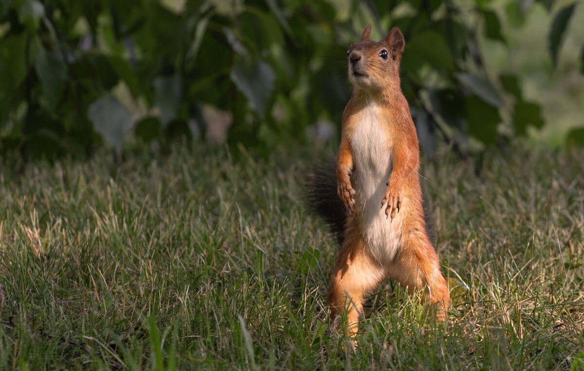 На  страже - Сергей 