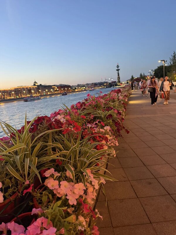 Москва. Крымская набережная - Ирэн 