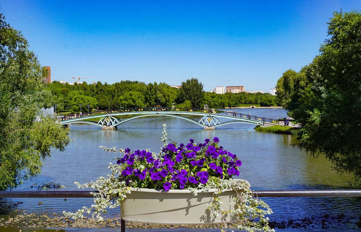 Лето в Царицыно - Ольга Лето в Царицыно - Ольга