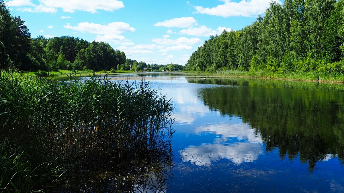 Природа в последний день июля. - Милешкин Владимир Алексеевич Природа в последний день июля. - Милешкин Владимир Алексеевич