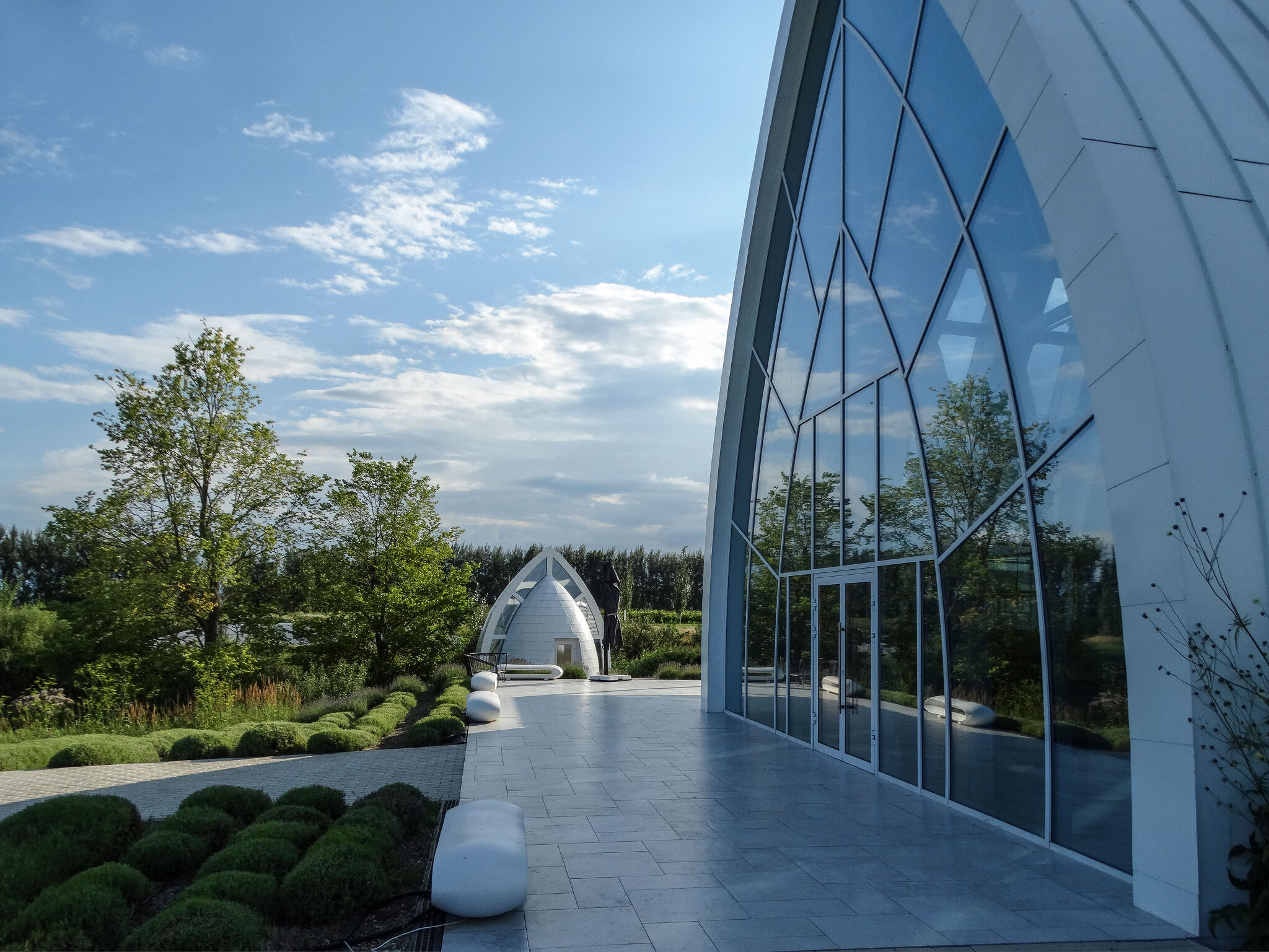 "Инсомния" - Татьяна Машошина