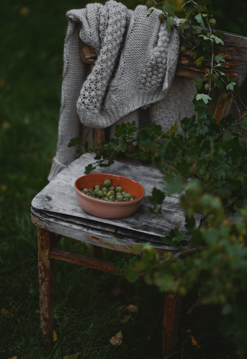 С крыжовником... :: Liliya 