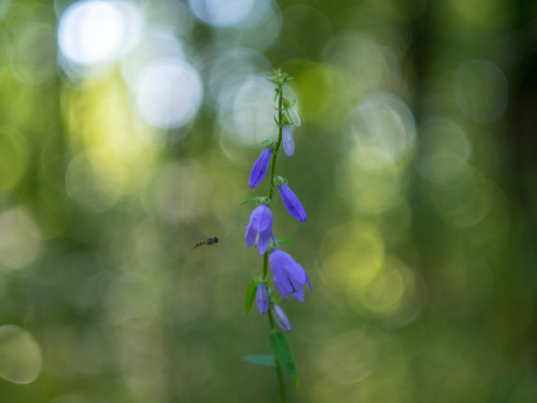 Природа :: Yuriy V Природа :: Yuriy V