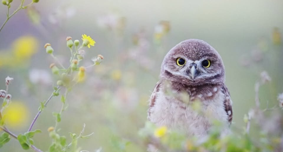 Ну шо скажешь ? А ?... :) :: Валерий Кокорев Ну шо скажешь ? А ?... :) :: Валерий Кокорев