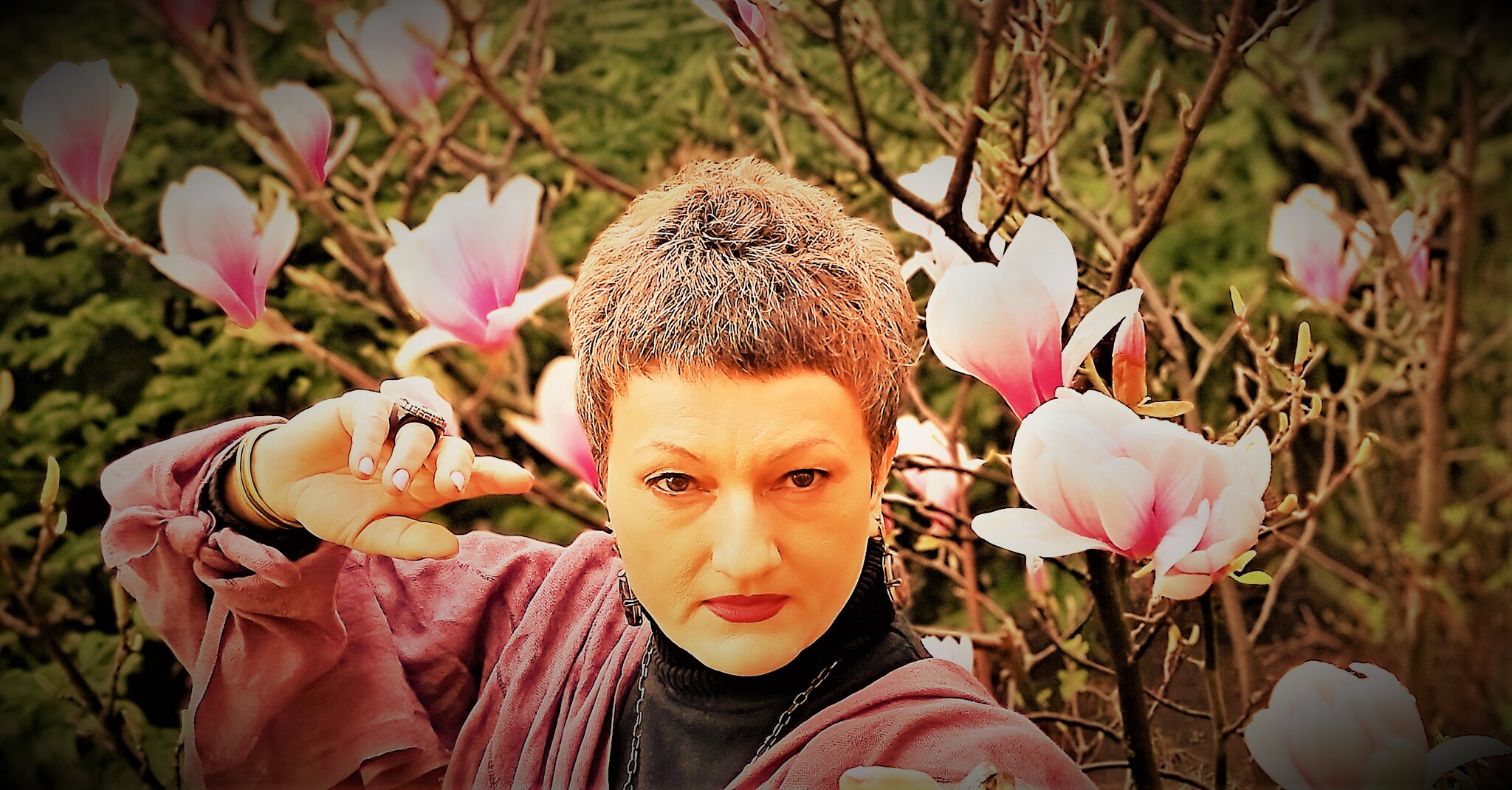 Магнолия :: Лана 