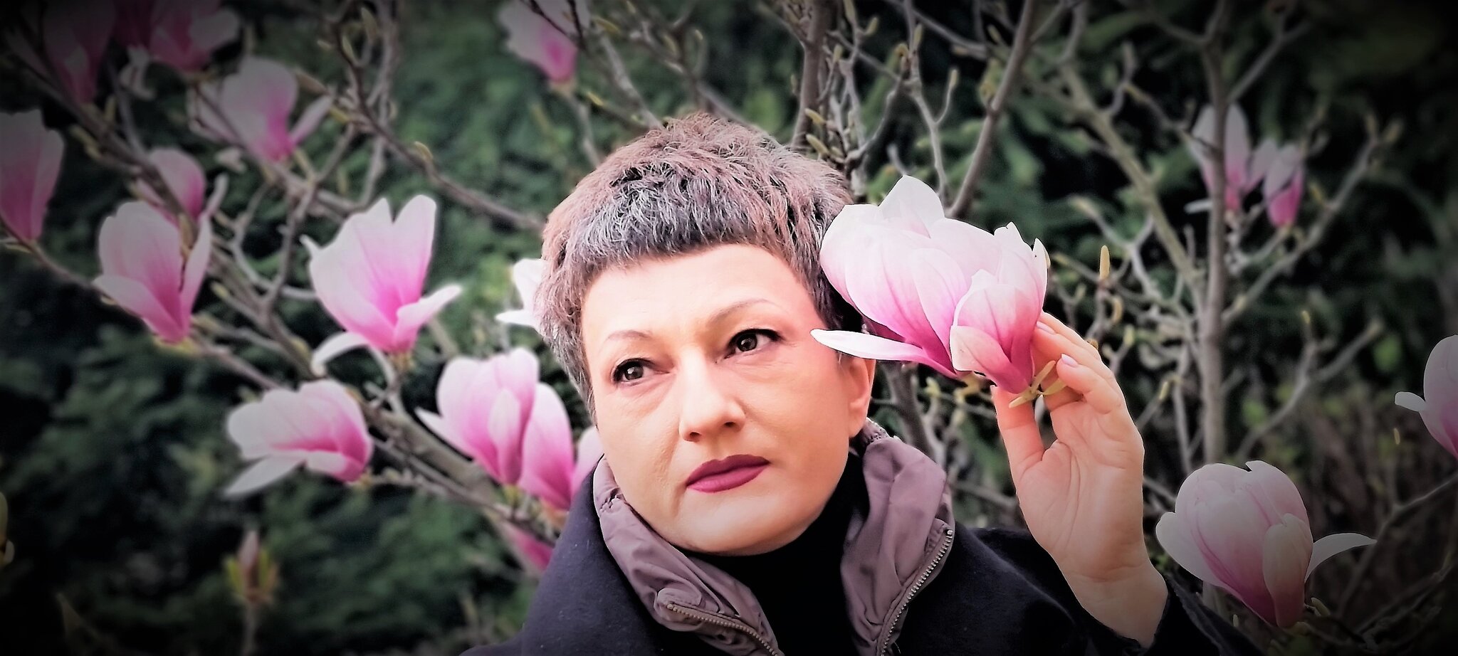 Магнолия :: Лана 