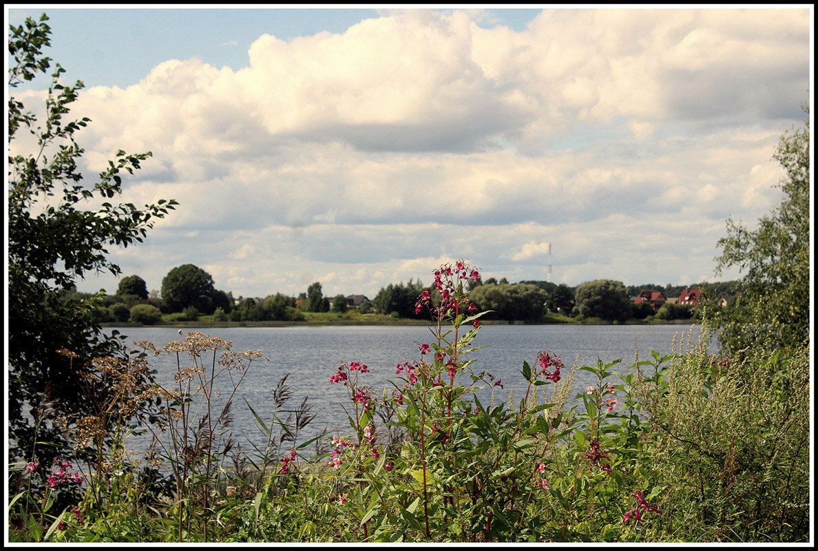 Пейзажи природа :: Aleksandr Gal Пейзажи природа :: Aleksandr Gal