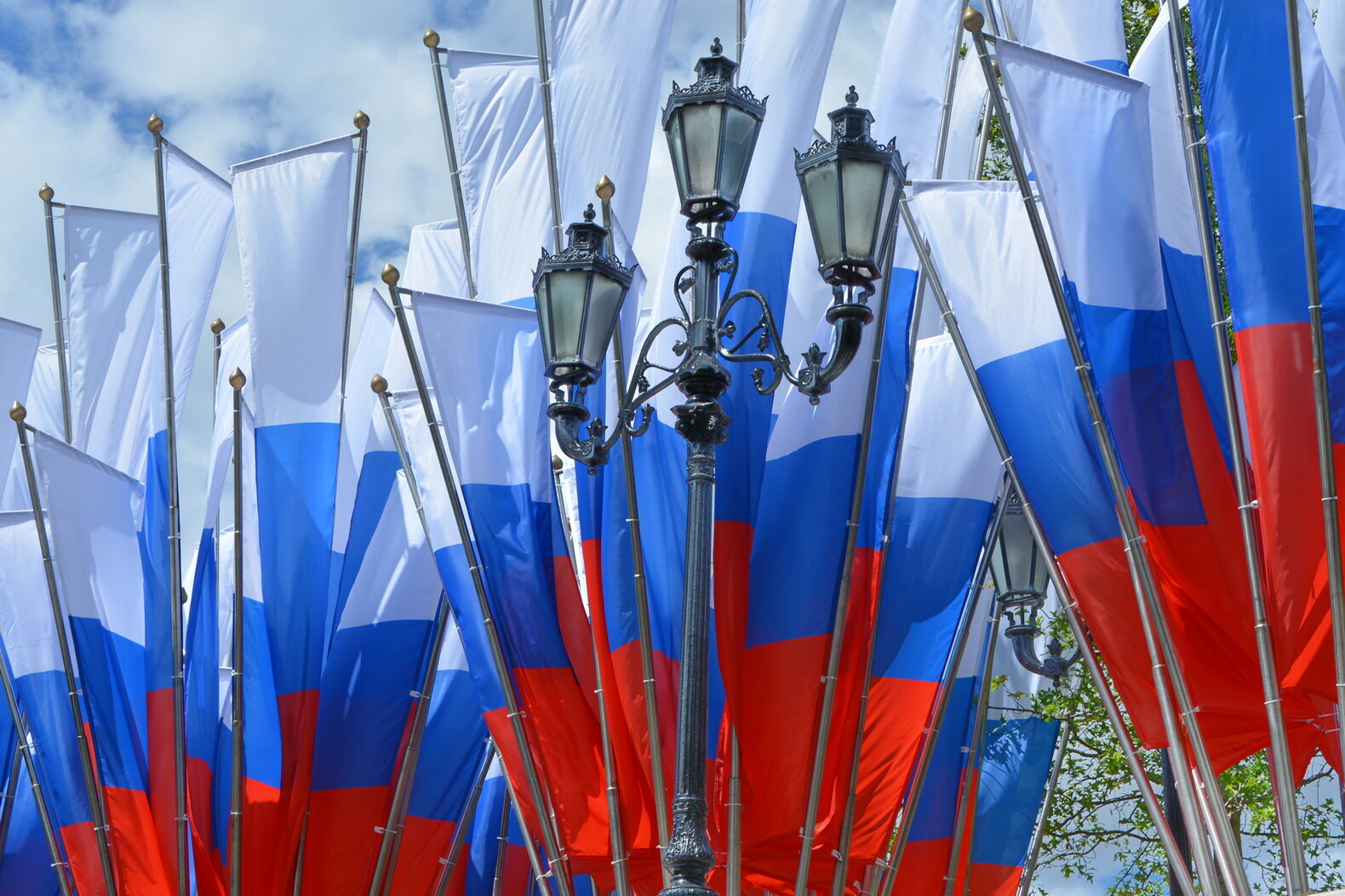 День государственного флага российской федерации :: Анастасия Смирнова День государственного флага российской федерации :: Анастасия Смирнова