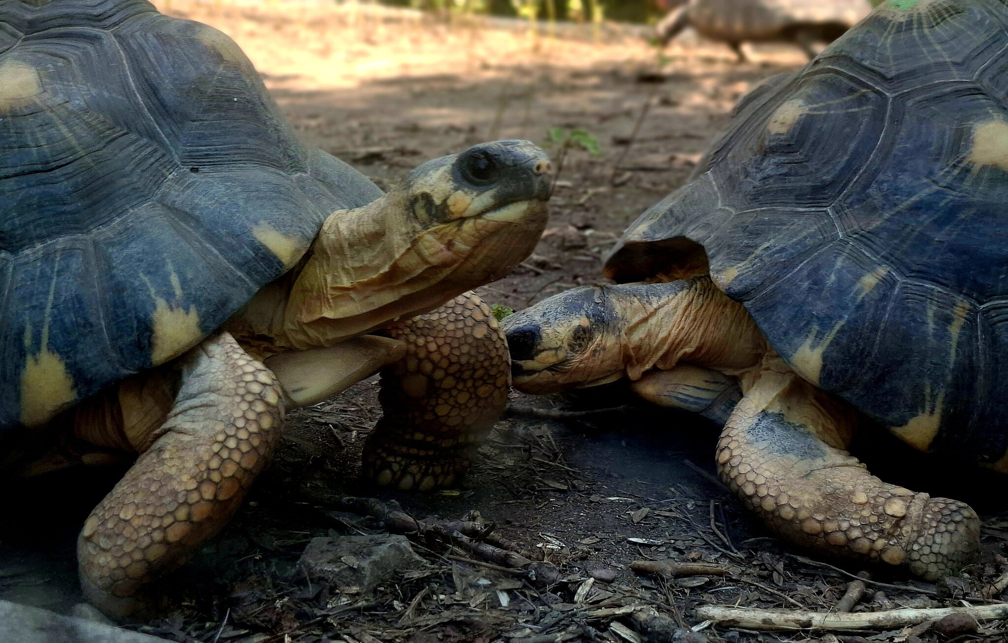 а посекретничать :: ИРЭН@ . а посекретничать :: ИРЭН@ .