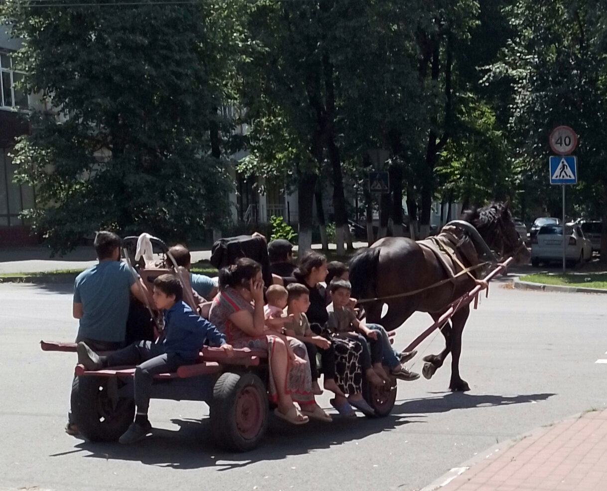 Лошадь в телеге :: Валентина Береснева Лошадь в телеге :: Валентина Береснева