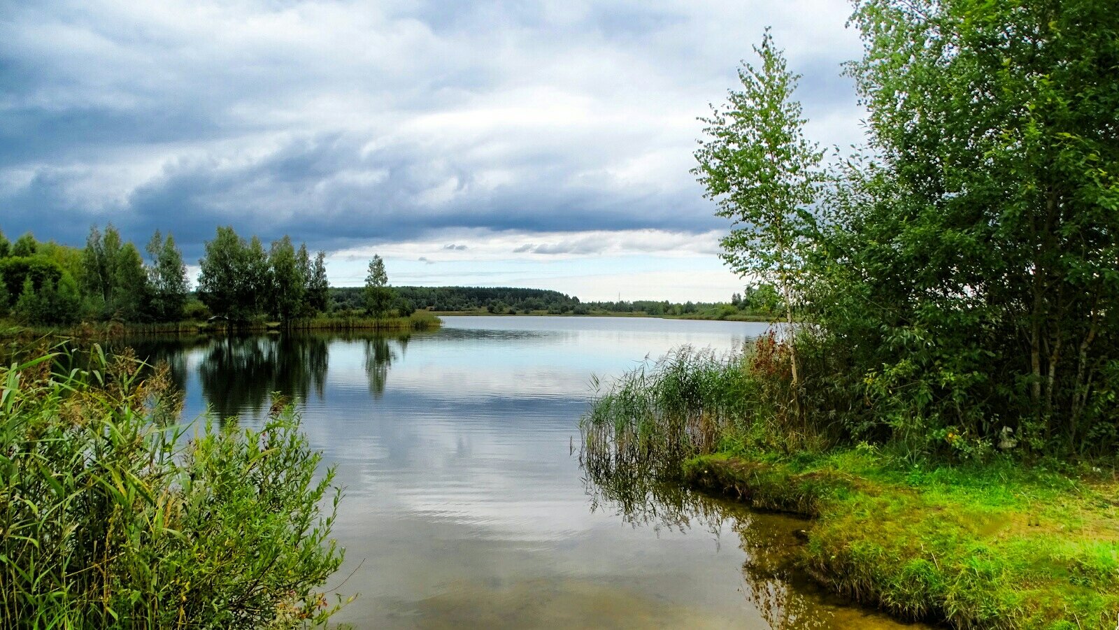Природа в конце лета. :: Владимир Алексеевич Милешкин Природа в конце лета. :: Владимир Алексеевич Милешкин