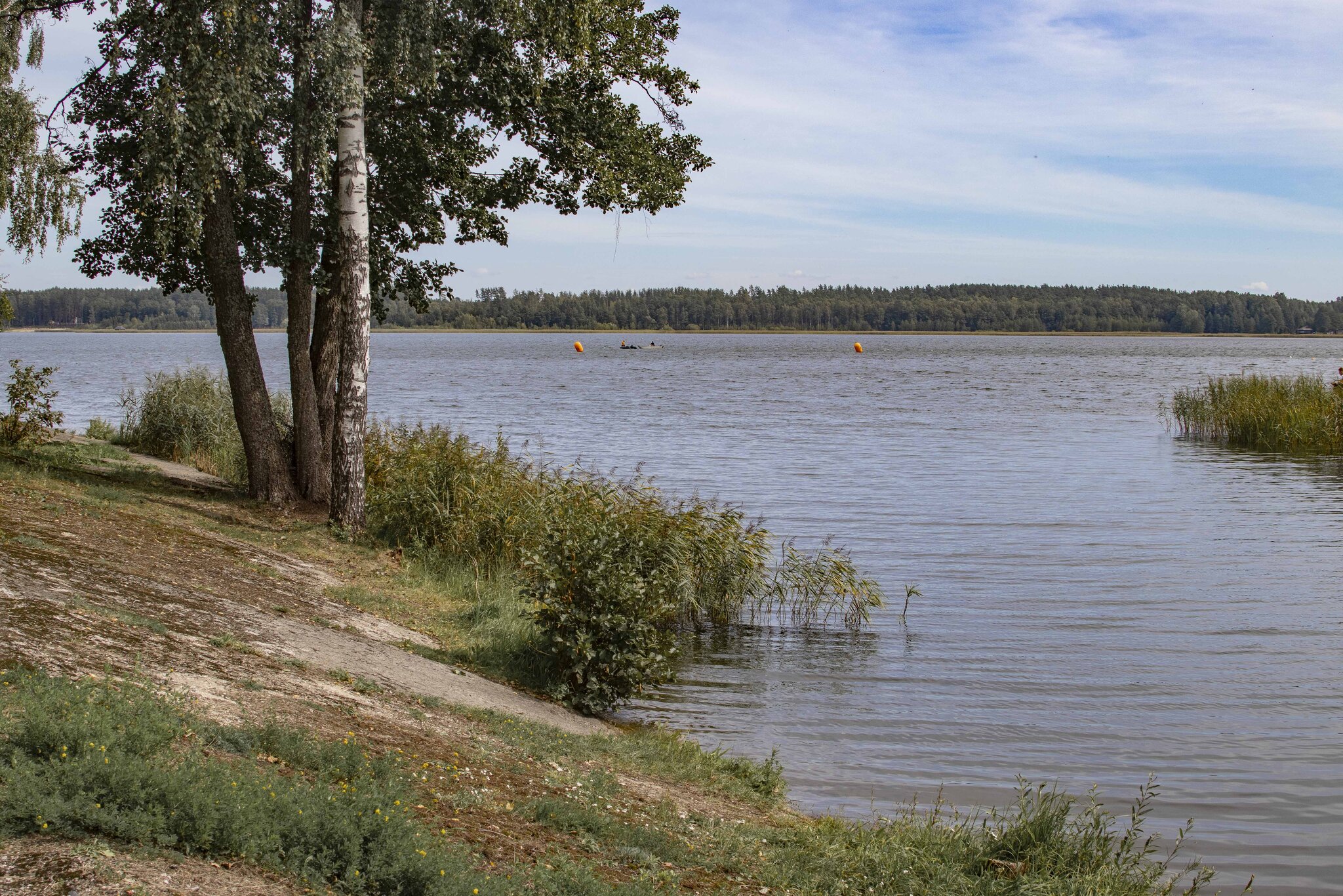 Сумское водохранилище ленинградская :: Николай Сумское водохранилище ленинградская :: Николай