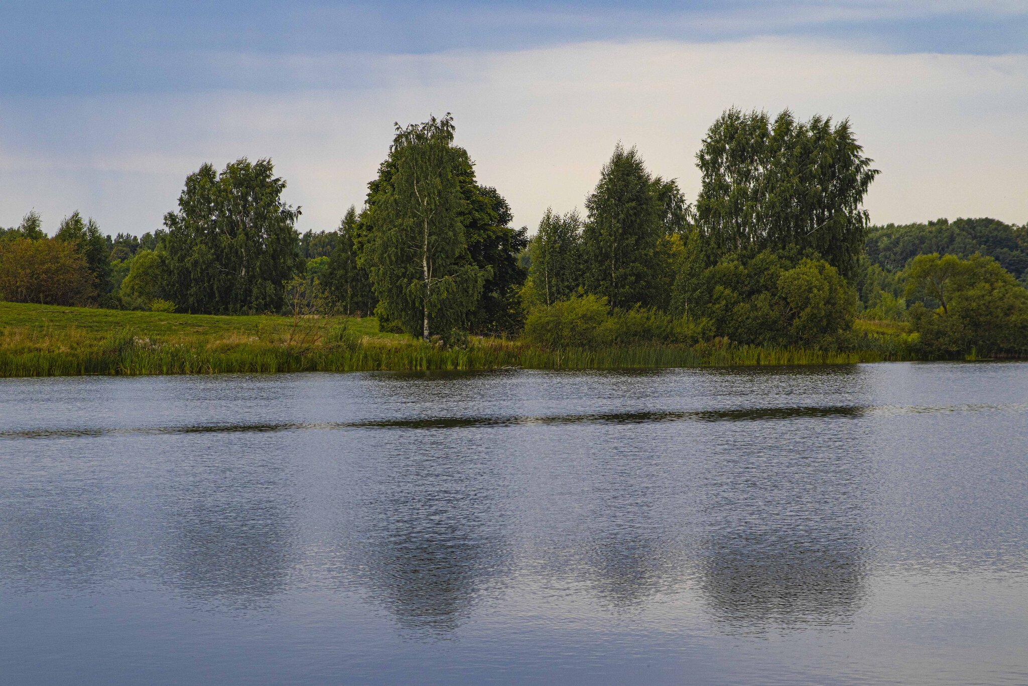 Чижковское озеро богородский :: Николай Чижковское озеро богородский :: Николай