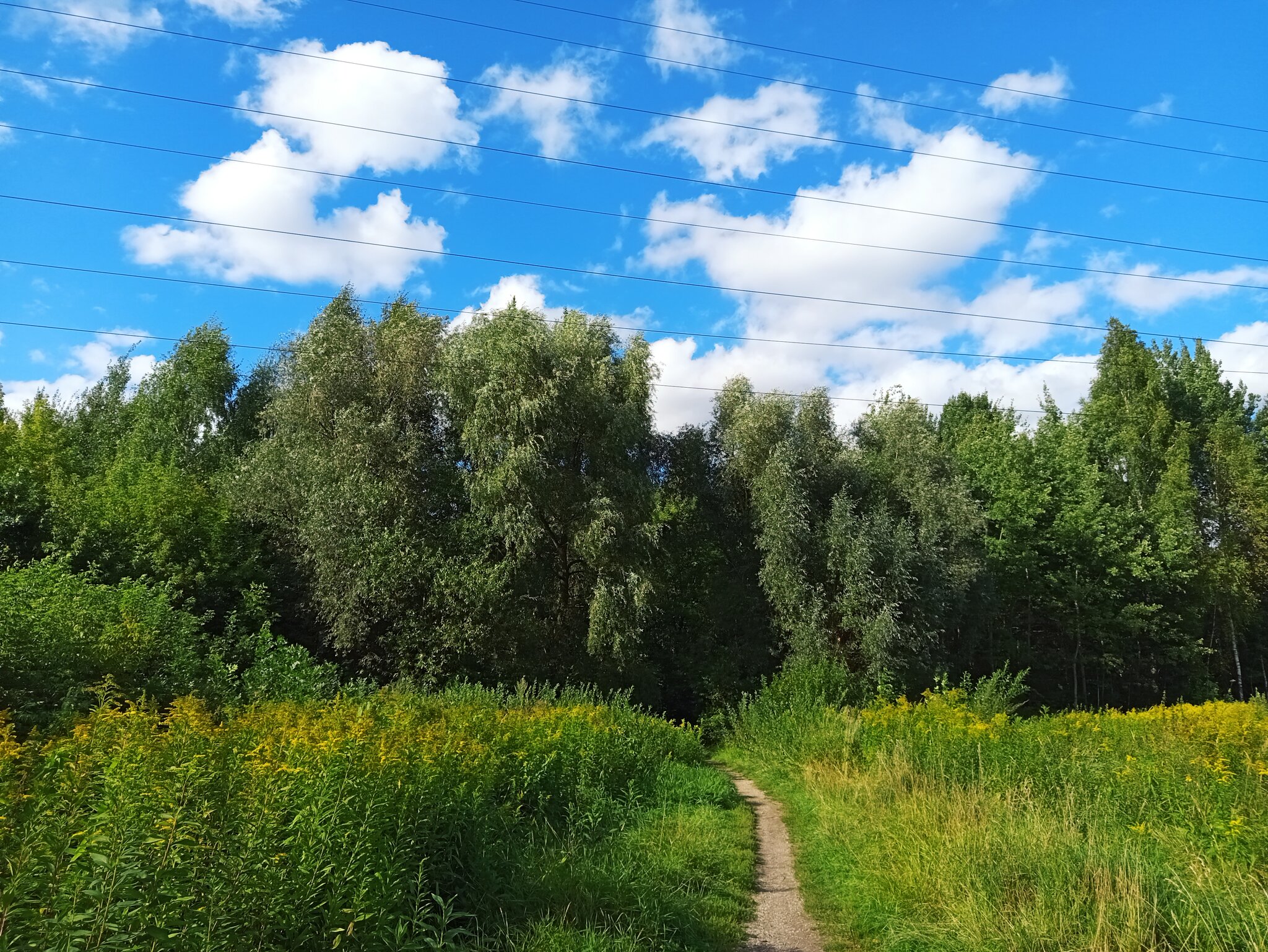 Снова в Москве (5 дней дома) :: Андрей Лукьянов Снова в Москве (5 дней дома) :: Андрей Лукьянов