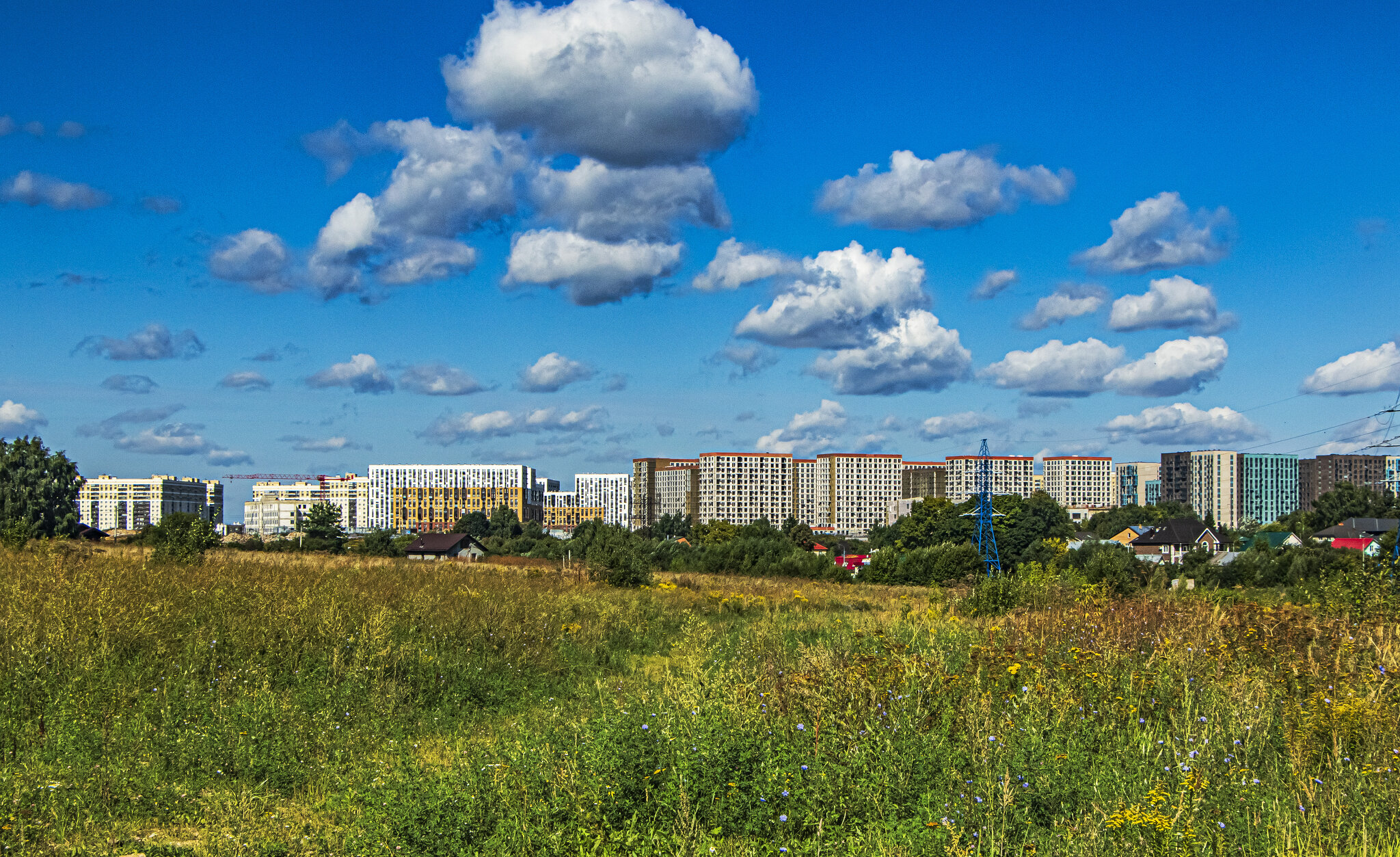 Дома Новой Москвы. :: Петр Беляков Дома Новой Москвы. :: Петр Беляков