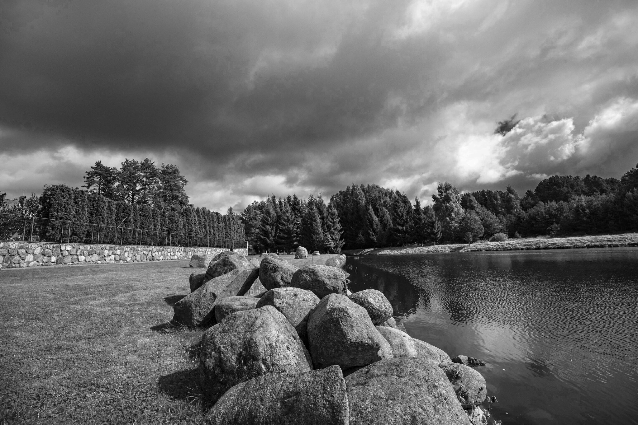 Природа черно белая :: Николай Природа черно белая :: Николай