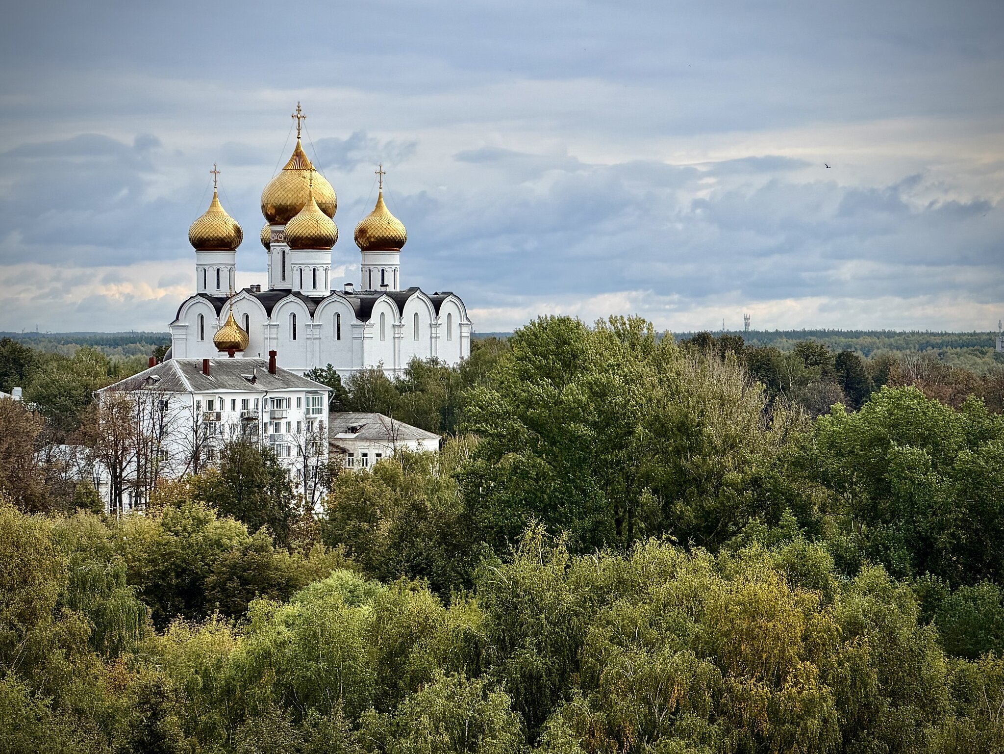 Золотые купола Ярославля. :: Любовь Броневицкая Золотые купола Ярославля. :: Любовь Броневицкая