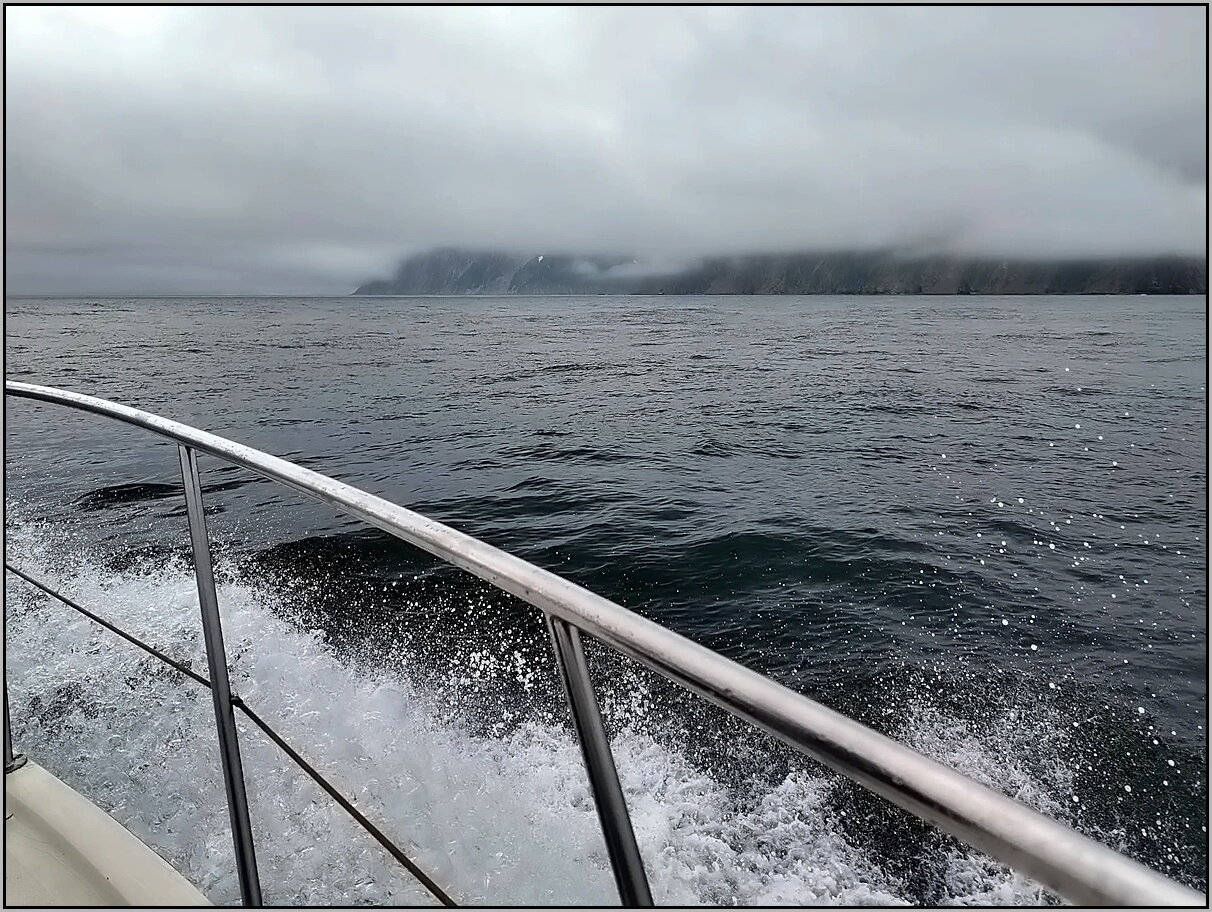 Камчатка. Морская прогулка :: Ольга Довженко Камчатка. Морская прогулка :: Ольга Довженко