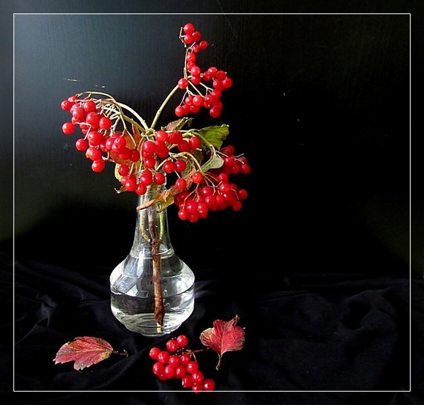 БЕЗ СЛОВ :: ivana БЕЗ СЛОВ :: ivana