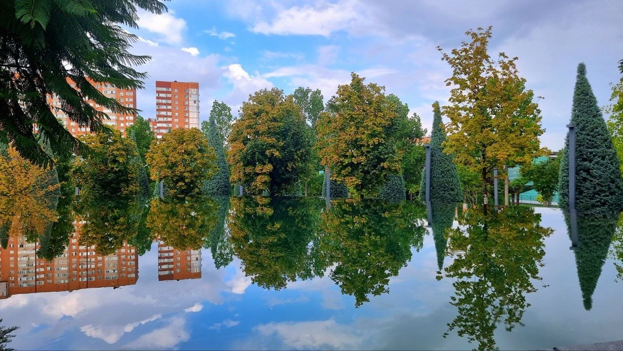 Парк Галицкого, г. Краснодар :: Екатерина Леш Парк Галицкого, г. Краснодар :: Екатерина Леш