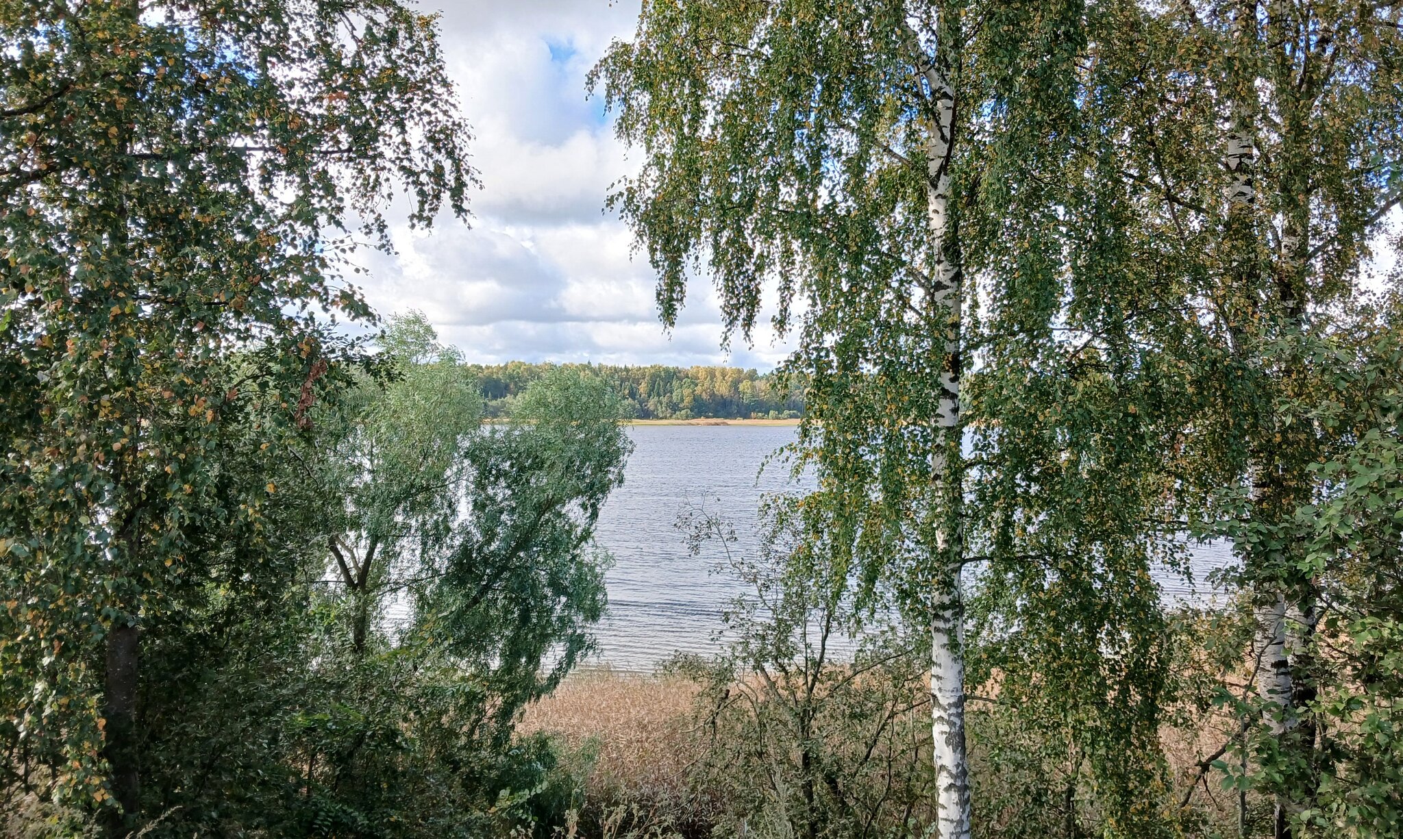 Кировск. Нева :: Наталья Герасимова Кировск. Нева :: Наталья Герасимова