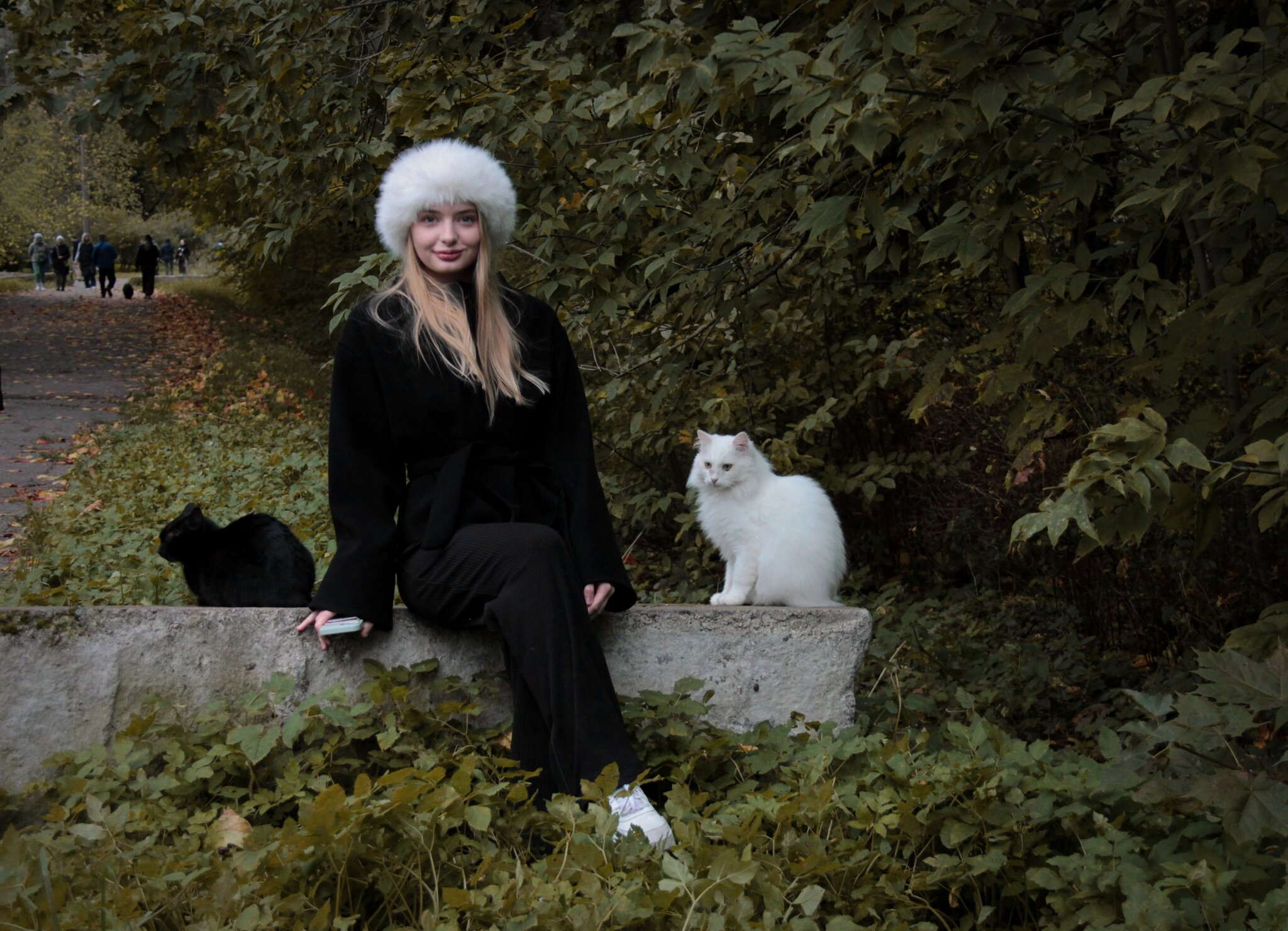 Котики и девушка :: Магомед . Котики и девушка :: Магомед .