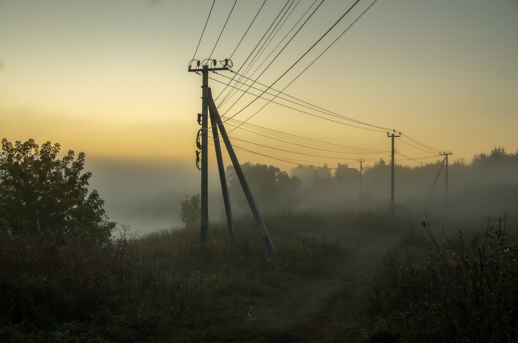 Бегут провода на восход. :: Николай Бегут провода на восход. :: Николай