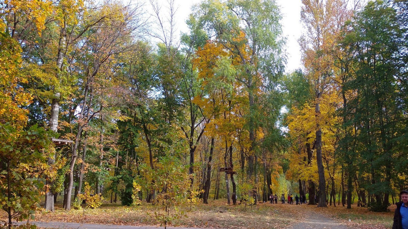 Осенний парк :: Борис Горшевский Осенний парк :: Борис Горшевский