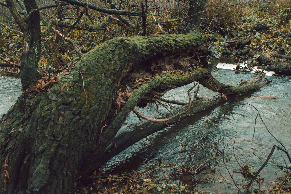 Случайный мост - Артём Яковлев