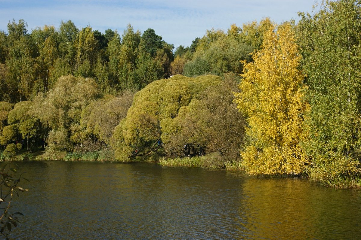 Осень - Олег Чернов