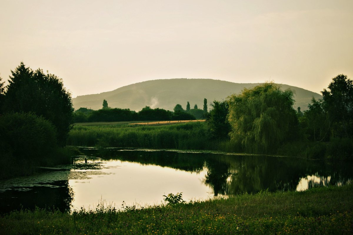 Красота - Карина Доронина