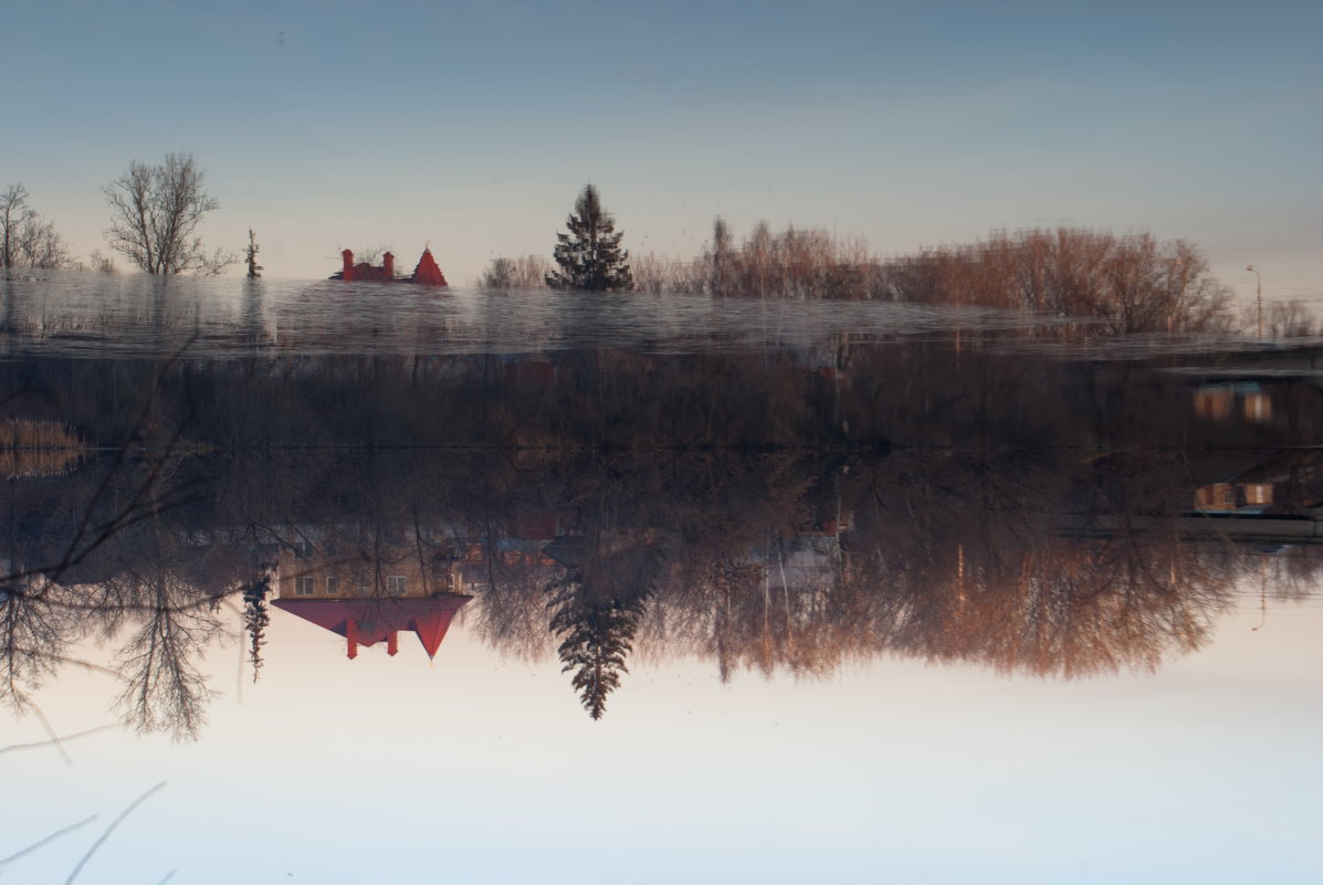 Если-бы летучая мышь была фотографом... - Андрей Калгин