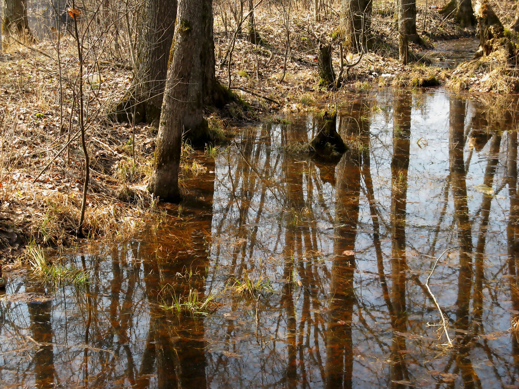 отражение - Наталья отражение - Наталья