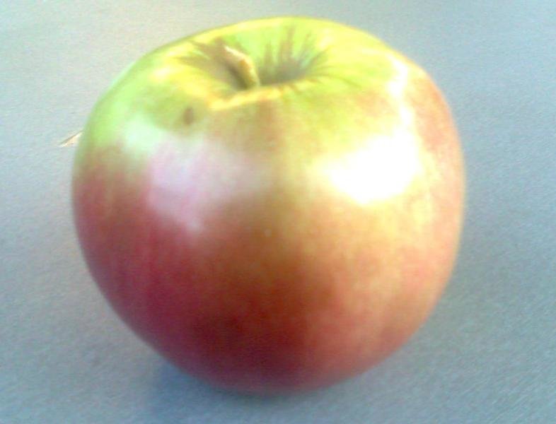 Яблоко - Дарья Неживая