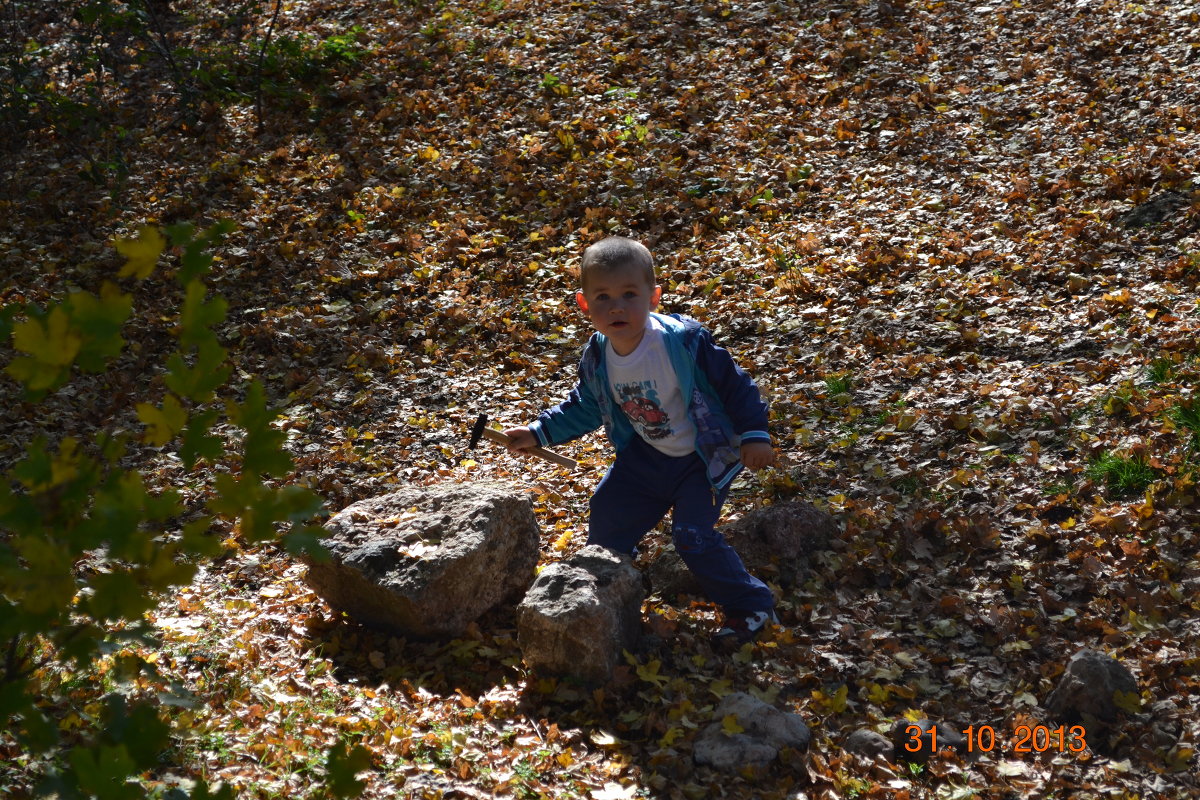 на природу и любимый предмет с собой!!! - людмила на природу и любимый предмет с собой!!! - людмила