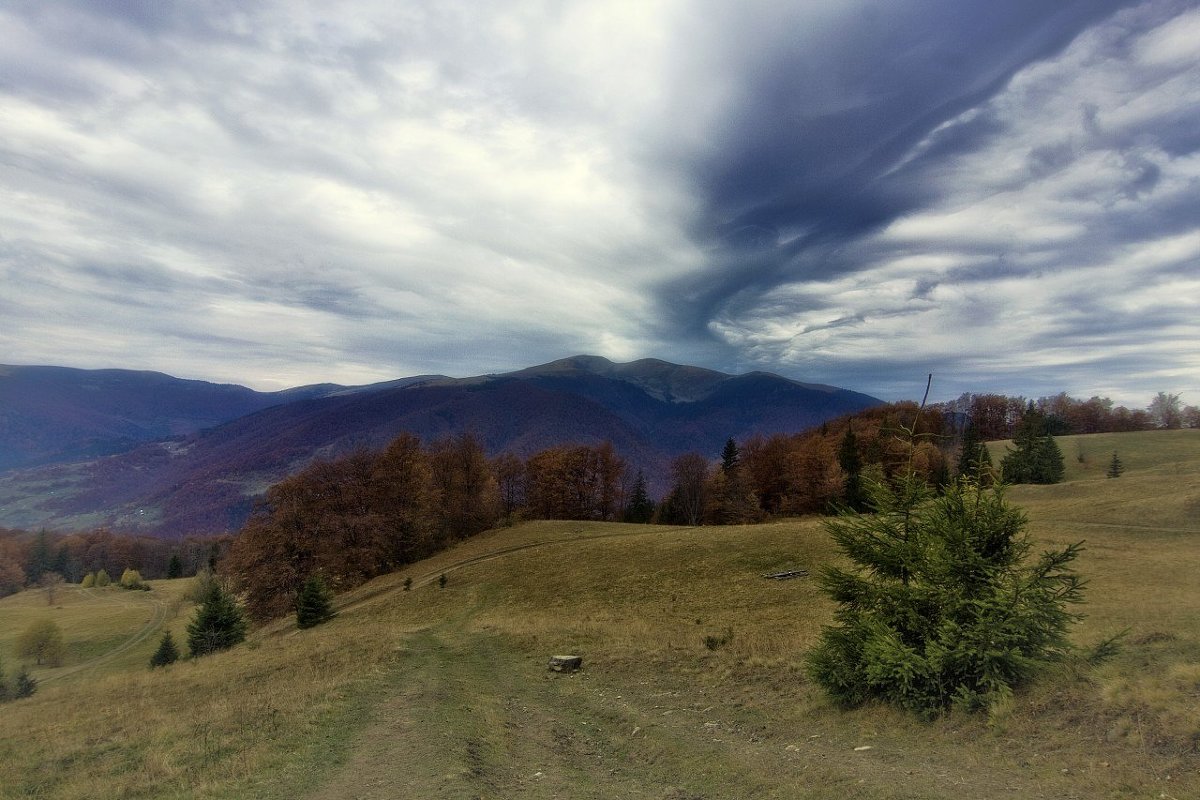 *** - Андрій Кізима